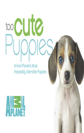 Title details for Too Cute Puppies by ANIMAL PLANET - Available